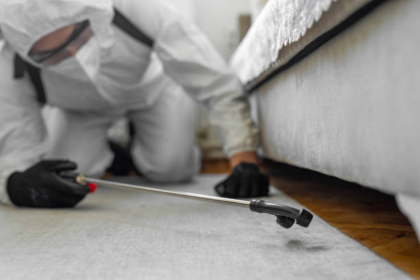 Professional Pest Control technician working in Nacogdoches, TX