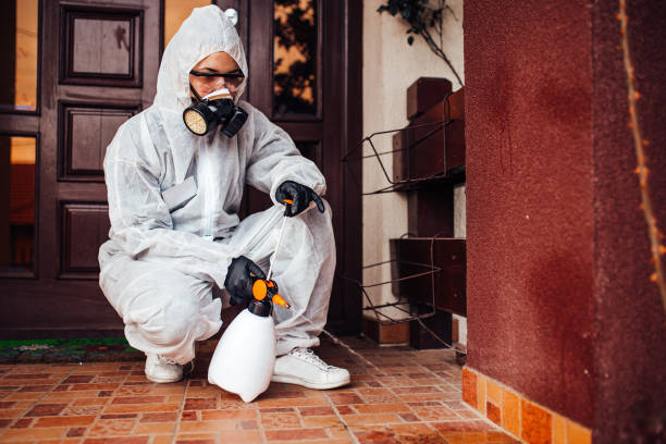 Reliable Bed Bug Control contractor in Nacogdoches, TX by Nex Pest Control