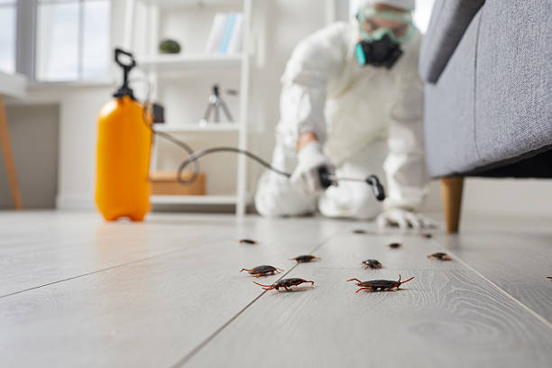 Trusted Cockroach Control service in Nacogdoches, TX - Nex Pest Control